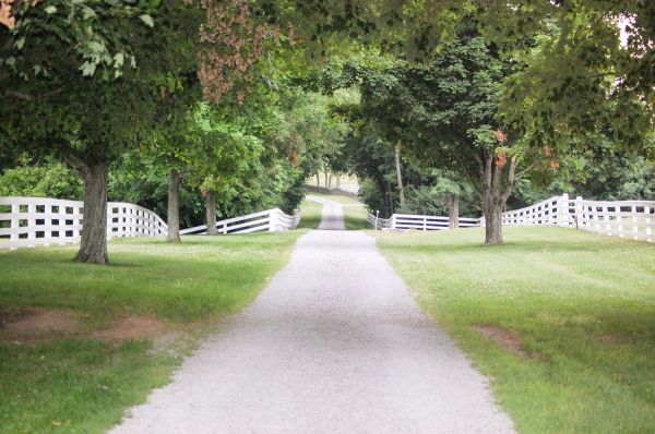 Gravel Driveway Construction in Andover