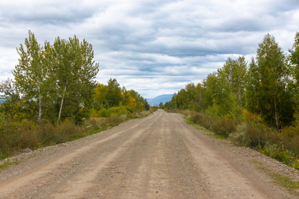 Dirt Road Repair Service