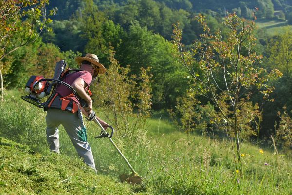 Cost of Slope Trimming in Andover